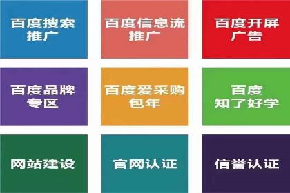 SEM主管案例分析：优化策略